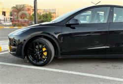 تێسلا مۆدێلی Y